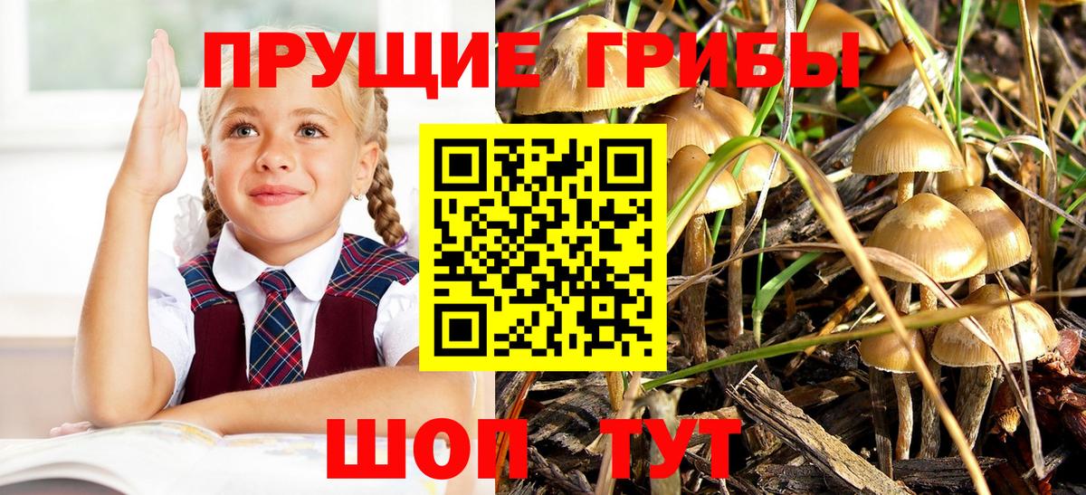 Псилоцибиновые грибы Magic Shrooms  Псилоцибиновые грибы прущие грибы  Воскресенск  Вход с VPN 